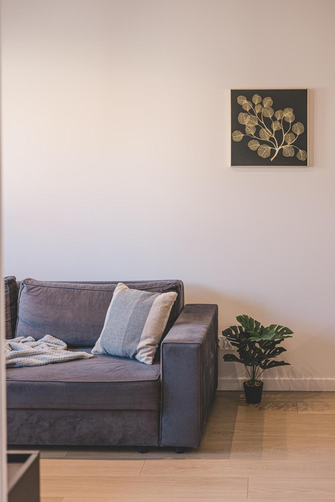 בידגוז'יז' 2Homerent Babia Wies 12 מראה חיצוני תמונה
